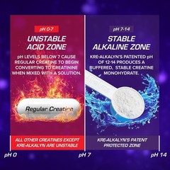EFX Sports Kre Alkalyn Powder Creatine 266 Servings