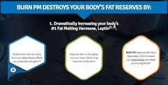 BURN PM Sculptnation Natural Enhance Fat Burn weight Loss Thermogenic, Free Ship