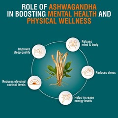 HI.MALAYA Ashwagandha 120 Tabs Pack of 5 Energy