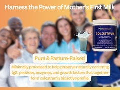 LARGE Grass-Fed Bovine Colostrum Powder – 240g (8.4 oz) – Immune & Gut Support