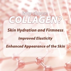 Fine Japan Hyaluronic acid and Collagen powder biotin elastin for 28 days co Q10