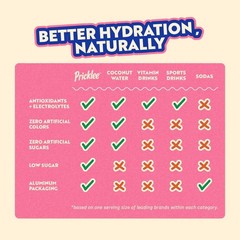 Natural Hydration Drink with Prickly Pear – Electrolytes, Antioxidants, Low Suga