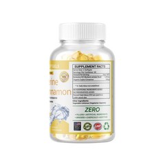 Berberine with Ceylon Cinnamon 1200mg 240 Softgels Organic Health & Immune USA