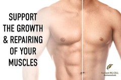 TA-65 1 bottle 250U 90 caps/FREE Natural Testosterone Booster