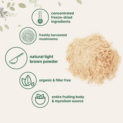 Micro Ingredients Natural Lion??s Mane Mushroom Powder Pure Fruiting Superfood