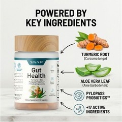Turmeric Gut Health Capsules 50ct – 2 Pack – Probiotics & Digestive Support