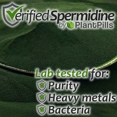 2kg PlantPills Whole Food Spermidine Powder Lab Verified at 240mg/250g