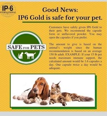 IP6 Gold – Immune Support Formula Powder Unflavored 308 grams