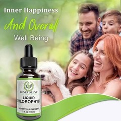 Benevolent Nourishment Natural Chlorophyll Liquid Drops for Body Detox Internal`