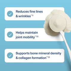 Vital Proteins® Professional Daily Foundational Support, 12g Bioactive Collagen