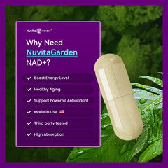 2 Pack NAD Supplement 1,119 mg Green Tea + Astaxanthin for Women & Men Energy