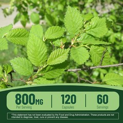 Slippery Elm-Support Digestive Health, Gut Health, Digestive Constipation Relief