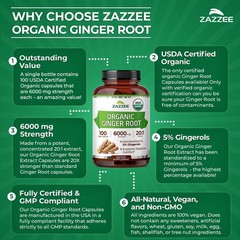USDA Organic Ginger Root 20:1 Extract, 6000 mg Strength, 5% Gingerols