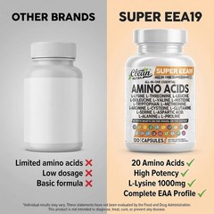 Clean Nutraceuticals Amino Acids Supplement – 120 Capsules