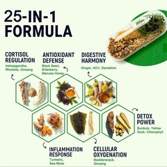Sea Moss & Shilajit (Black Seed Oil, Turmeric, Ashwagandha, Ginger, Vitamin D)