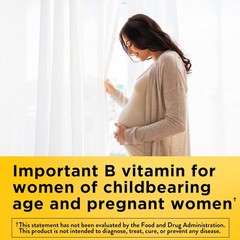 Nature Made Folic Acid 400 mcg (665 mcg Dfe) 250 Tabs