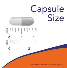NOW FOODS L-Ornithine 500 mg 120 Veg Capsules