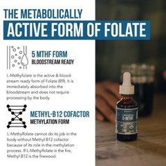 Organic L-Methylfolate 5-MTHF 15mg Vitamin 1000mcg B12 Berry Googeer Ex: 7/2028
