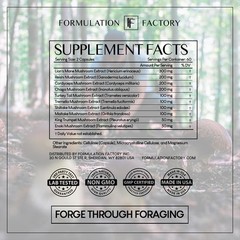 Formulation Factory Shroom Vroom 10in1 Mushroom Complex 2Pack with Lion’s Man…