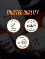 BulkSupplements L-Tyrosine 240 Capsules – 500 mg Per Serving