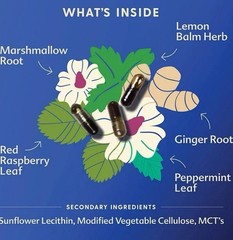 MORNING SICKNESS Remedy BLEND 60 Liquid Capsules For Pregnancy Nausea Motherlove