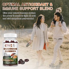 Mushroom Extract Complex Gummies Lions Mane Chaga Reishi Focus Memory Immunity