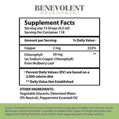Oz NEW Benevolent Nourishment Fluid Chlorophyll Herbal Supplement 2