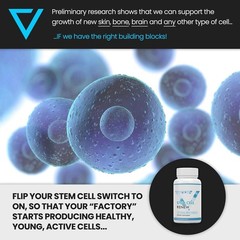 Stem Cell Renew | Boost Your Natural Supply of Stem Cells to Strengthen Menta…