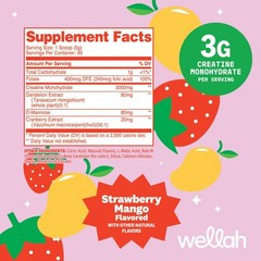 Wellah Creatine for Women (50 Servings) Raspberry Lemonade – 3g of Creatine