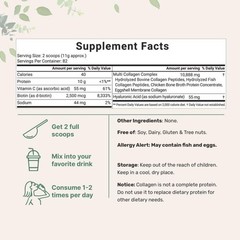 Micro Ingredients Hydrolyzed Multi Collagen (I,II,III,V,X) , Unflavored-