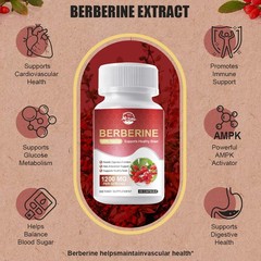 Berberine Capsules antibacterial clearing heat detoxify regulate intestines 60pc