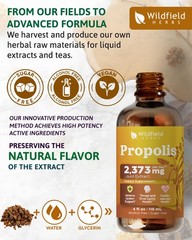 4 Oz Bee Propolis Extract Liquid Drops – Immune Support & Throat Soothing | 2…