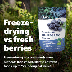 Organic Wild Blueberry Powder – 15-Day Supply, 3.2 Oz, Good for Smoothie & Break