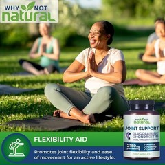 Why Not Natural Glucosamine Chondroitin MSM–Joint Support for Mobility & Comfort