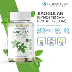 Gynostemma Pentaphyllum Supplement – 98% Gypenoside Extract (20:1) Jiaogulan