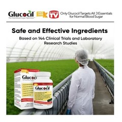 Glucocil 30-Day Supply 120CT – Premium Blood Sugar Support – 2+ Million Sold