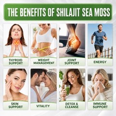 120 Pills Organic Irish Sea Moss 21762MG with Burdock Root Bladderwrack Shilajit