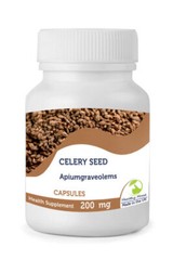Celery Seed 30/60/90/120/180/250 200mg Capsules Apium graveolems