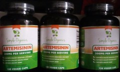 3 Simple Organics Artemisinin 120 Capsules 200mg – Sweet Wormwood Extract 7/2026