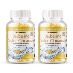 Berberine with Ceylon Cinnamon 1200mg 240 Softgels Organic Health & Immune USA
