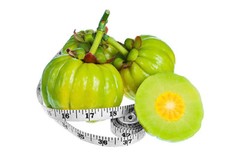 5 Pack GARCINIA CAMBOGIA 95% HCA Diet Pills Weight Loss Fat Burner 3000mg