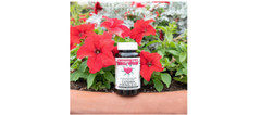 Kroeger Herb, Candida Formula #1, Detoxification for Natural Candida Cleanse