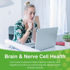 500Mg Organic Lions Mane Mushroom Nootropic Brain Memory Focus Immune Support
