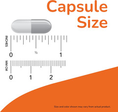 Supplements, L-Carnosine (Beta-Alanyl-L-Histidine) 500 Mg, Healthy Aging, 100 Ve