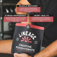 Lineage Provisions Micronized Creatine Monohydrate with Sea Salt – 2 PACK