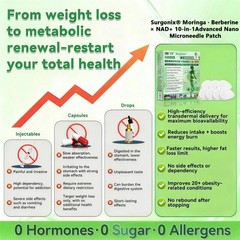 New 6 BOX Moringa Berberine NAD+ Weight Loss Patches Advanced Nano Microneedle