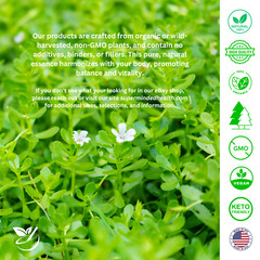 Complete Parasite Intestinal Cleanse Kit | All Organic Herbs No Fillers