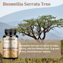 Boswellia Extract 2400mg-Organic Turmeric,Tart Cherry – Joint Health Pain Relief