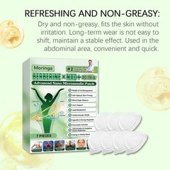 10-in-1 Moringa Berberine Weight Loss Patch Nano Microneedle Slimming 7pcs