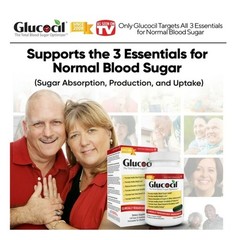Glucocil 30-Day Supply 120CT – Premium Blood Sugar Support – 2+ Million Sold
